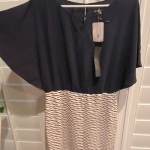 Navy blue flowey with cram white and navy dress